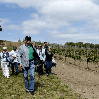 Vinsmagning på Dansk vingård i Kalundborg